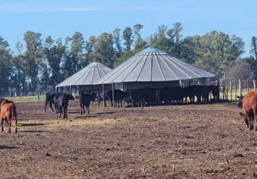 Reporte Ganadero Octubre 2025
