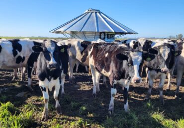 Reporte Ganadero Septiembre 2025